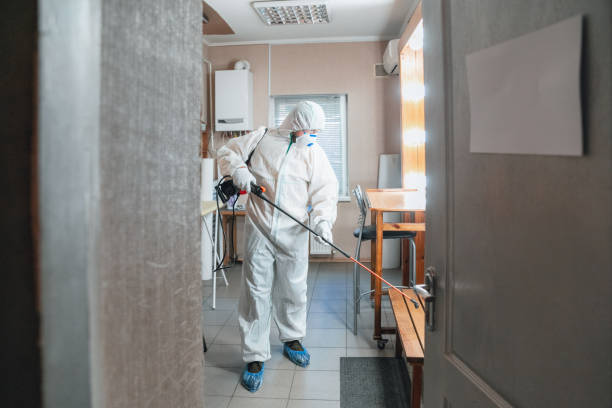 Best Emergency Mold Remediation  in Marysville, MI