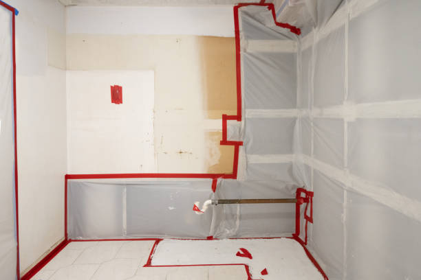 Best Air Quality Testing for Mold Spores  in Marysville, MI