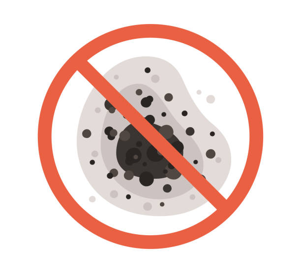 Dehumidification Services in Marysville, MI