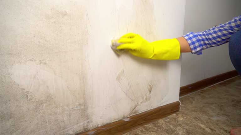 Best Post-Construction Mold Inspection  in Marysville, MI