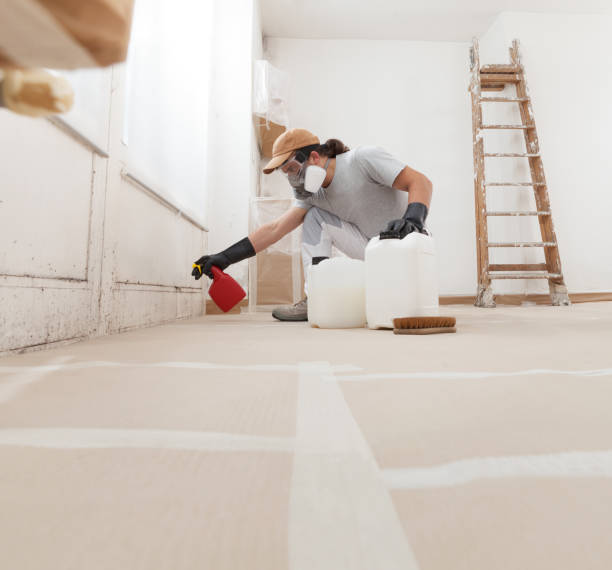 Best Dehumidification Services  in Marysville, MI