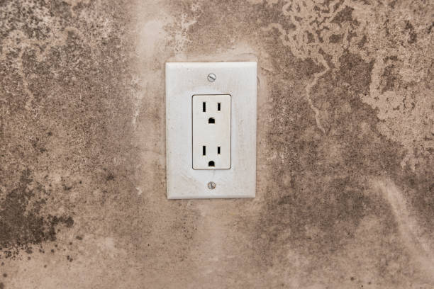 Best Mold Documentation for Insurance Claims  in Marysville, MI